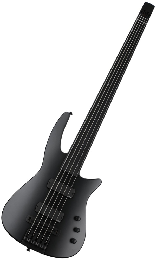 NS Design Radius Bass Guitar